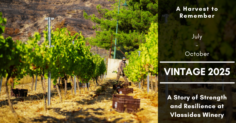 harvest 2025-website harvest 2025-website